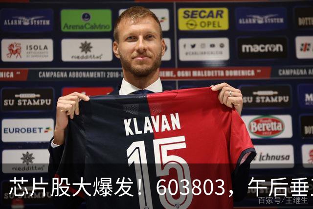 芯片股大爆发！603803，午后垂直涨停！
